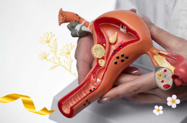 endobelle-doctor-ant-bef-3 endobelle-doctor-ant-bef-3