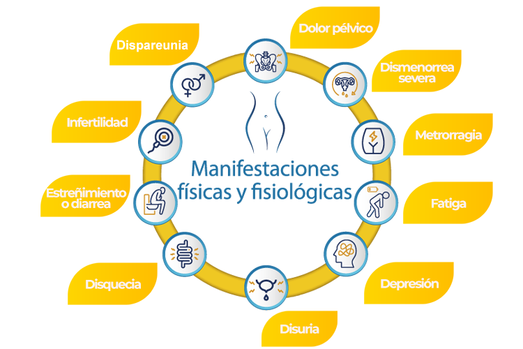sinendometriosis-grafico-Web sinendometriosis-grafico-Web